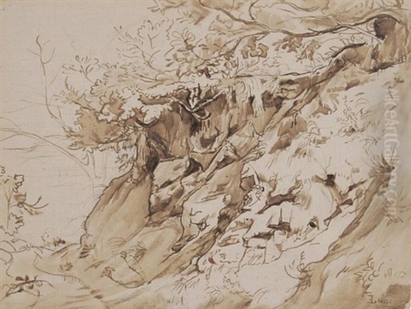 Bewachsener Hang (study) - view 1