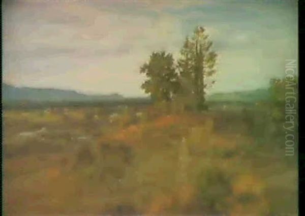 Breisgaulandschaft - view 1