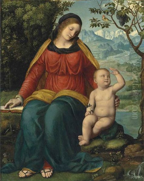 Madonna Of The Grapevine - view 1