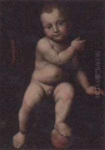 The Infant St. John by Bernardino Luini