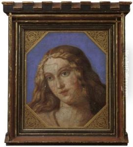 Der Kopf Einer Jungen Frau by Bernardino Luini