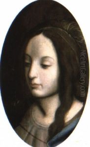 A Head Of A Woman by Bernardino Luini