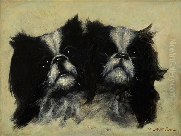 Two Pekingeses - view 1