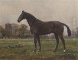 A Dark Brown Horse In A Paddock