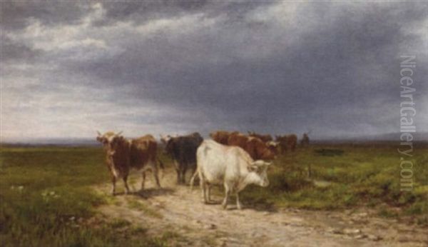 Cattle In A Pasture - view 1