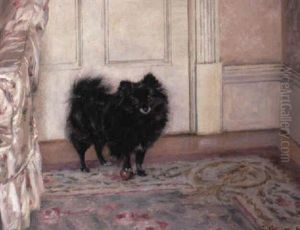 Black Pomeranian With A Ball
