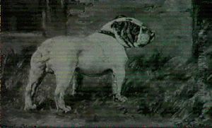 Dick Stone Rival Stone by William Luker Jr.