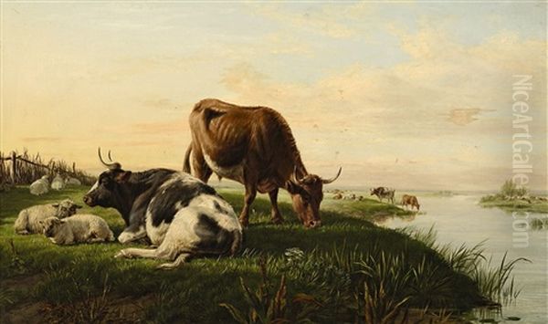 Kuhe Und Schafe Auf Der Weide - view 1