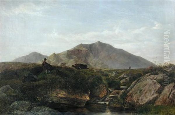 Grouse In A Watery Moorland Hollow - view 1