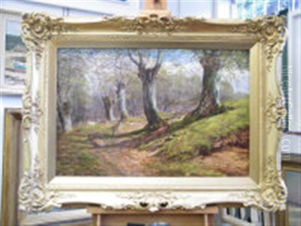 Woodland With Deer - view 1