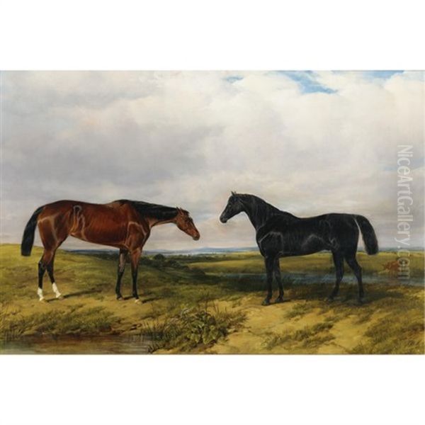 Two Horses In An Extensive Landscape - view 1