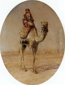 Rider On A Camel Rider On A Camel