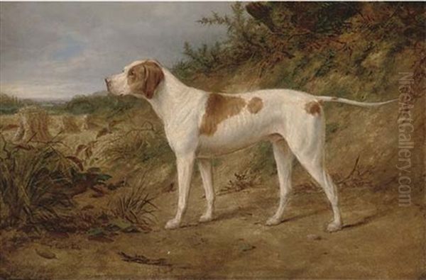The Stud Pointer "major" - view 1