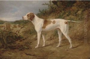 The Stud Pointer "major"