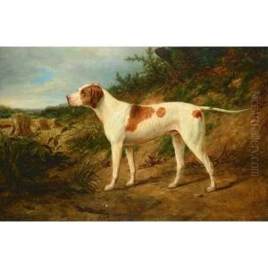 The Stud Pointer "major" by William Snr Luker
