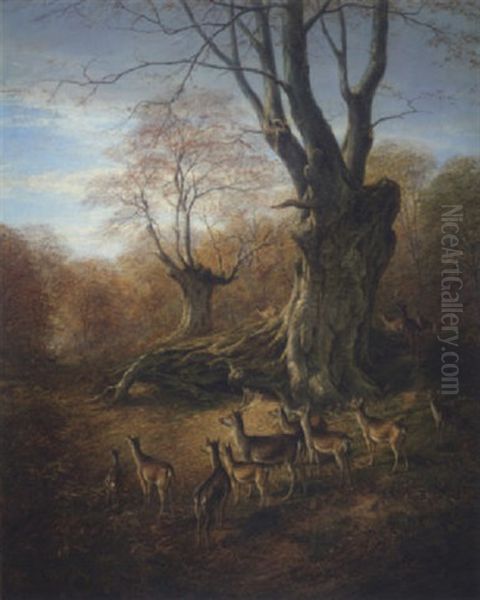 Deer In The New Forest - view 1