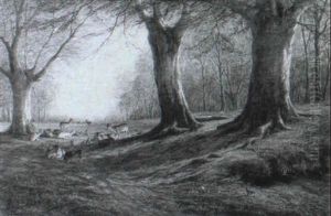Deer Resting In A Woodland Glade by William Snr Luker