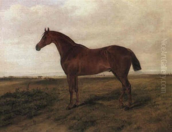 Cheval Hunter Dans Un Paysage - view 1
