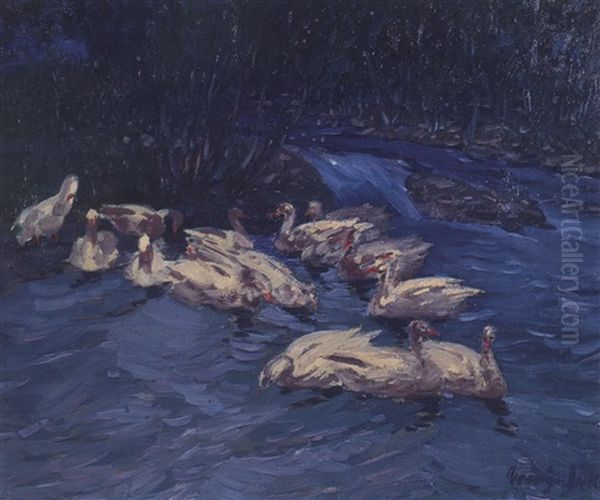Wild Geese - view 1