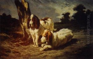 Beagles Au Repos