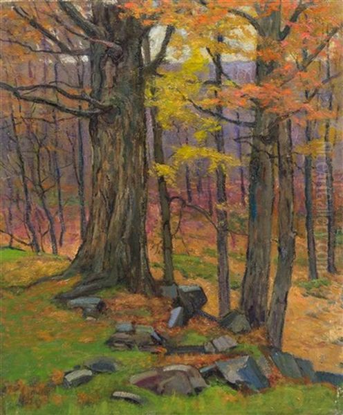 Old Maple (study Of Trees) - view 1