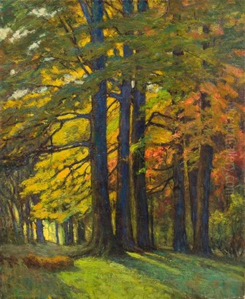 Study Of Trees - view 1