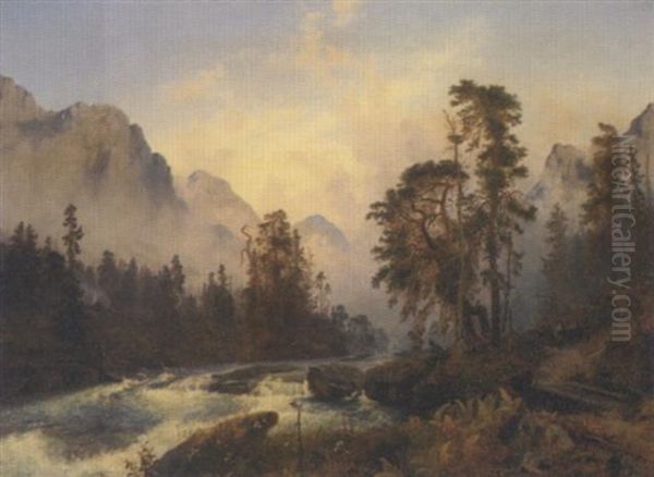 Skog Og Elv - view 1
