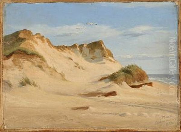 A Summer's Day In The Westerland Sand Dunes On Sylt - view 1