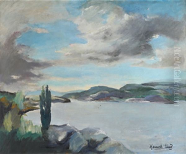 Fjordlandskap - view 1