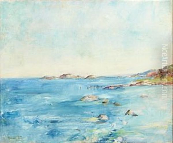 Kystlandskap - view 1