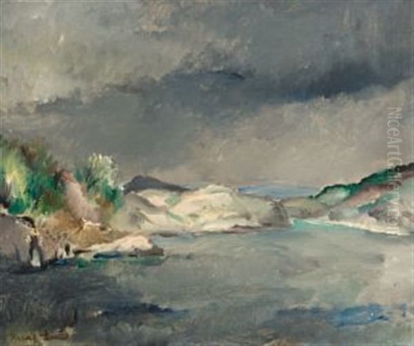 Kystlandskap - view 1