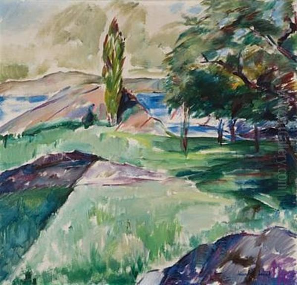 Kystlandskap - view 1
