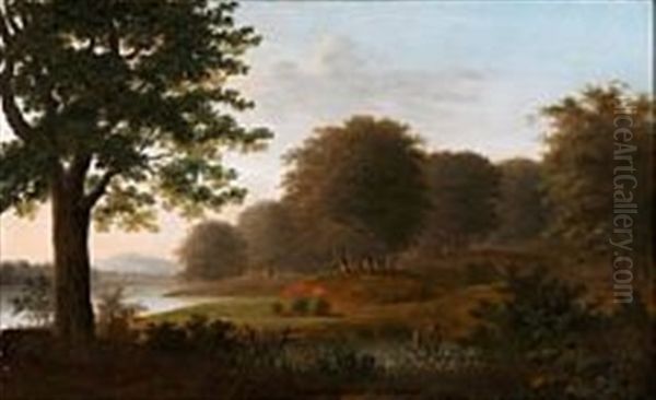 Hilly Forest Landscape At A Lake - view 1