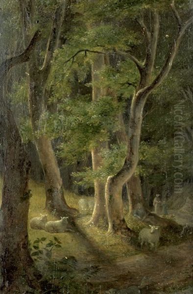 Waldlandschaft Mit Hirten Und Seinen Schafen - view 1
