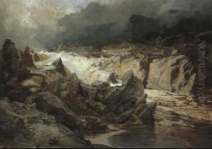 The Wilds Of Rannock, Perthshire