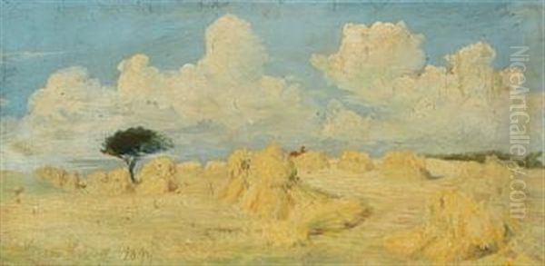 Danish Summer Landscape With Haycocks In The Field - view 1