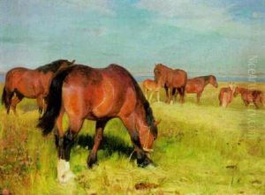 Horses In A Field Horses In A Field