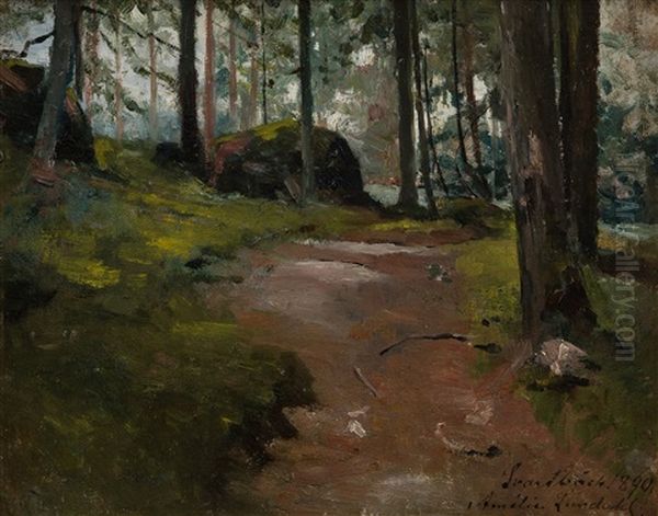 Forest Path In Purola - view 1