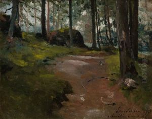 Forest Path In Purola by Amelie Lundahl
