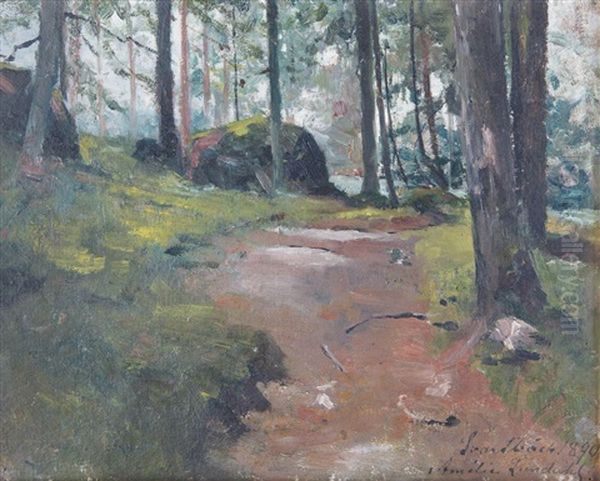 Skogsstig - view 1