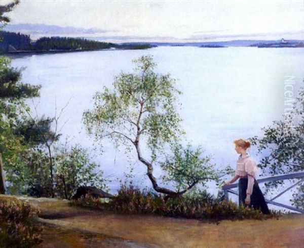 Iltakavelylla Nasijarven Rannalla - view 1