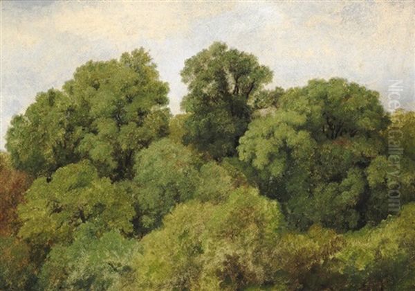 Study Of Treetops - view 1