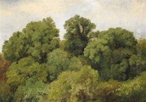 Study Of Treetops by Johan Thomas Lundbye