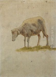A Study Of A Sheep thumbnail