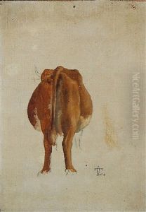 A Study Of A Cow Seen From Behind A Study Of A Cow Seen From Behind