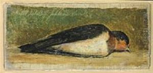 Study Of A Dead Swallow