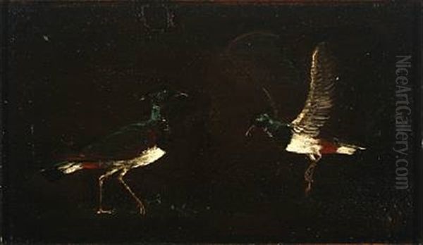 Two Lapwings - view 1