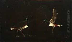 Two Lapwings