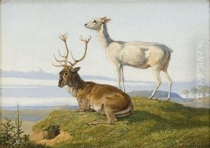 En Liggende Hjort Og En Staende Hind En Liggende Hjort Og En Staende Hind