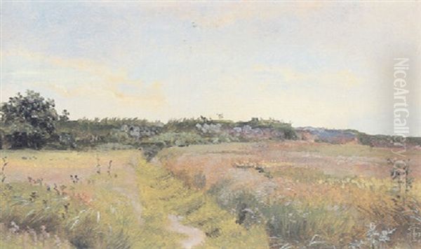 Flad Groft Over Ragemarkomradet - view 1
